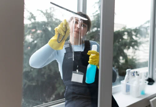 Nettoyage de vitres intérieures et extérieures au Fay